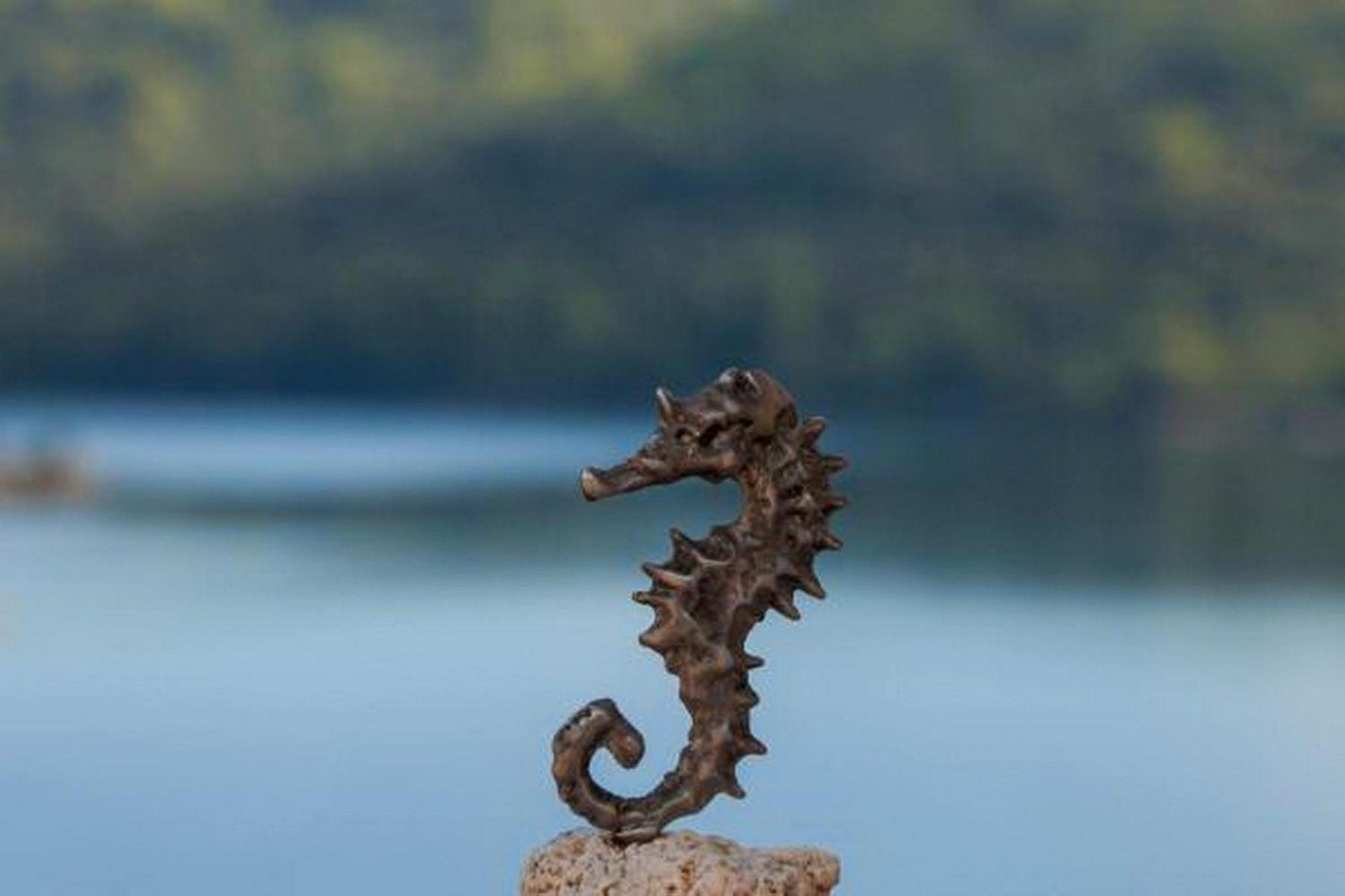 Apartments Bruna Lastovo ห้อง รูปภาพ